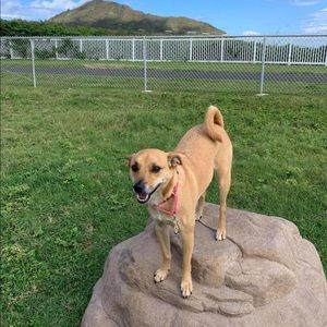 Meet your Posher, Julie